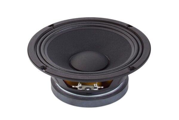 Warwick Amplification Parts - 8" Celestion Speaker TF0818 / 150 W / 8 Ohm - for WCA 208 CE-4 and WCA 408 CE-8
