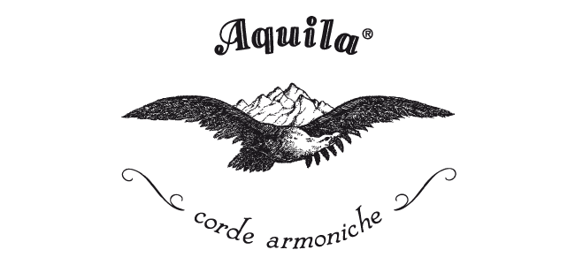 Aquila