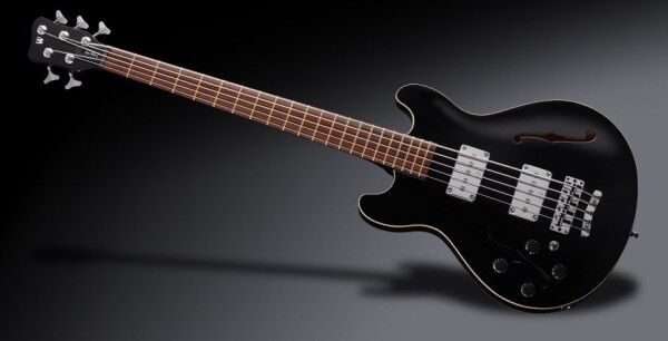 Warwick Teambuilt Pro Series Star Bass, 5-String - Solid Black High Polish