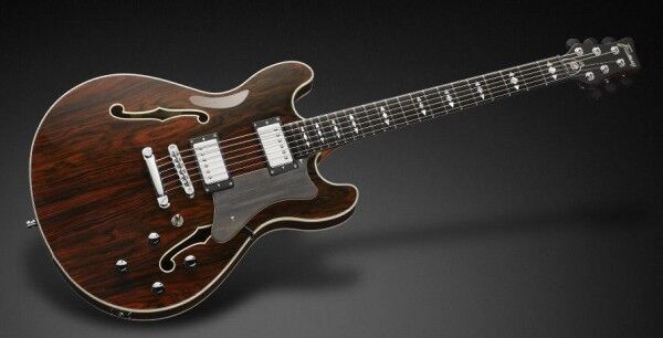 Framus Masterbuilt Mayfield Custom, Rio Rosewood - Natural Transparent High Polish