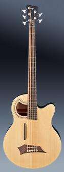 Warwick RockBass Alien Standard, 5-String, Fretless with