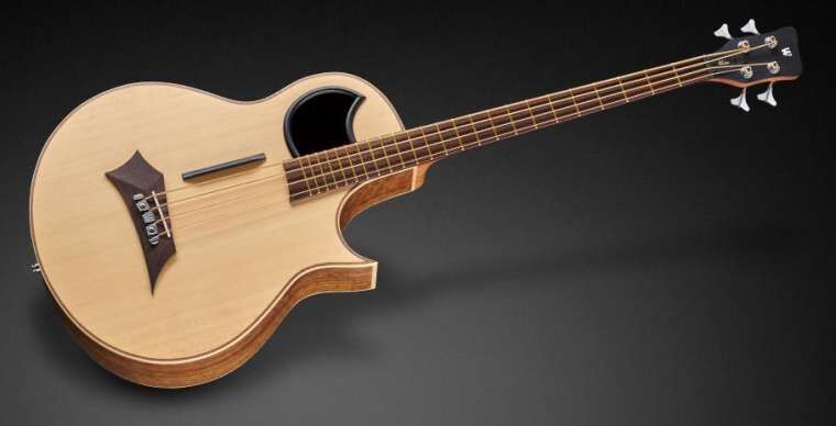 Warwick RockBass Alien Standard, 5-String, Fretless with