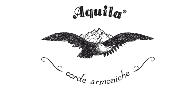 Aquila