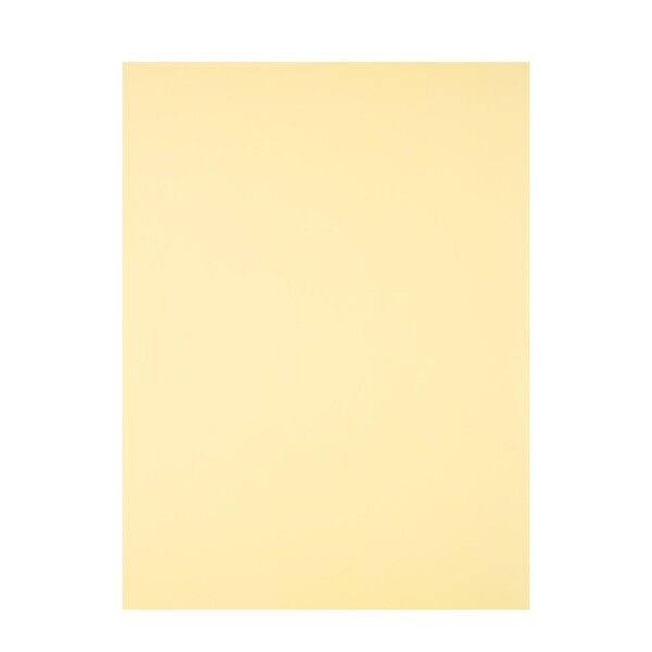 Pickguard Blank - 435 x 290 mm (17.1 x 11.4") - Vintage White